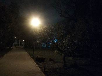 Illuminated bare trees against sky at night