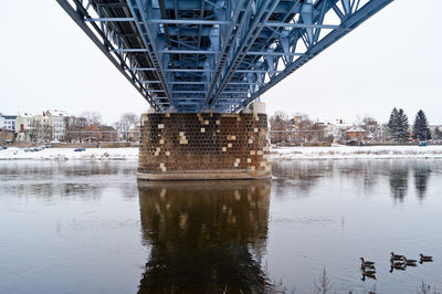 Ducks swimming in river below metallic bridge during winter