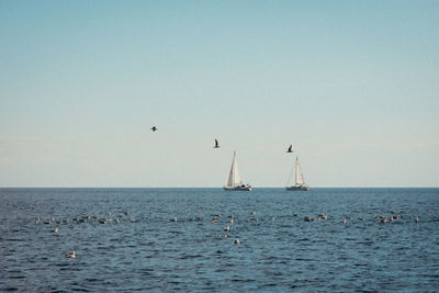 Scenic view of sea against clear sky