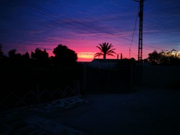 Silhouette trees against sky at night