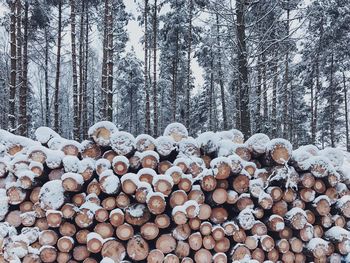 Full frame shot of snow