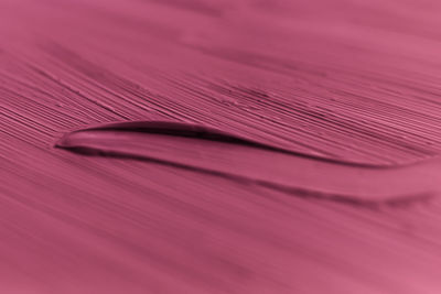 High angle view of pink petals on table