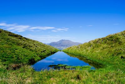 Scenic view of landscape against blue sky