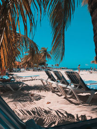 Palm trees on beach against blue sky