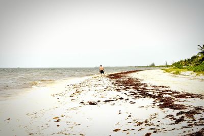 Rear view of person on beach against clear sky