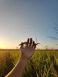 Man holding umbrella on field against sky at sunset