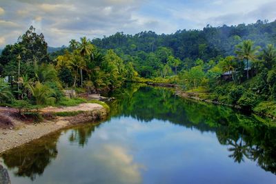 Scenic view of lake by trees against sky