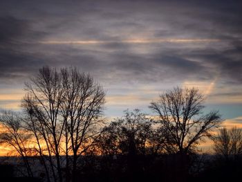 Silhouette of bare tree against sky at sunset