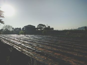 Tranquil scene of field at sunset