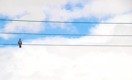 Low angle view of bird perching on cable against cloudy sky