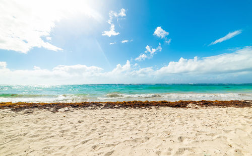 Scenic view of beach against sky