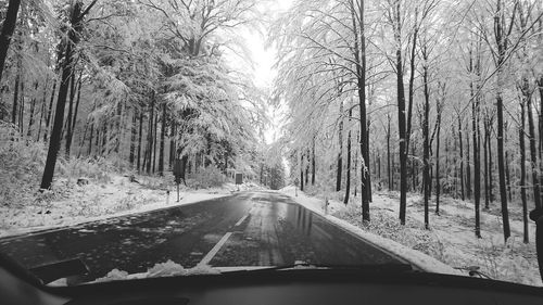 Road amidst trees seen through car windshield