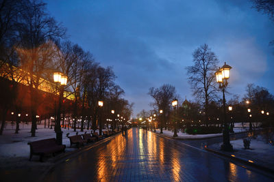 Illuminated street lights in winter at night