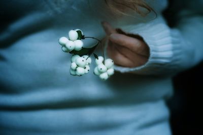 Close-up of hand holding white rose