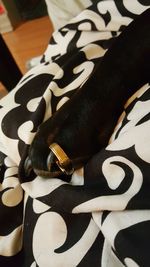 Close-up of black cat