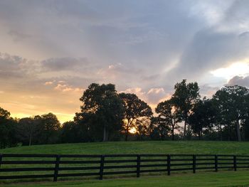 Trees on field against sky during sunset