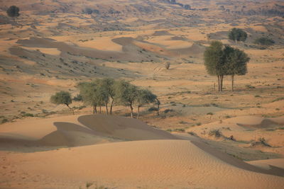 Scenic view of desert
