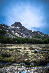 Scenic view of landscape against sky