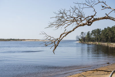 Scenic view of lake against clear sky