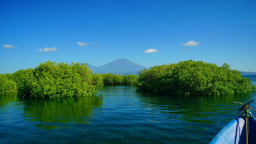 Scenic view of lake against blue sky