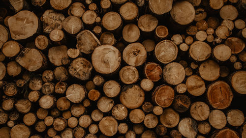 Full frame shot of logs in forest