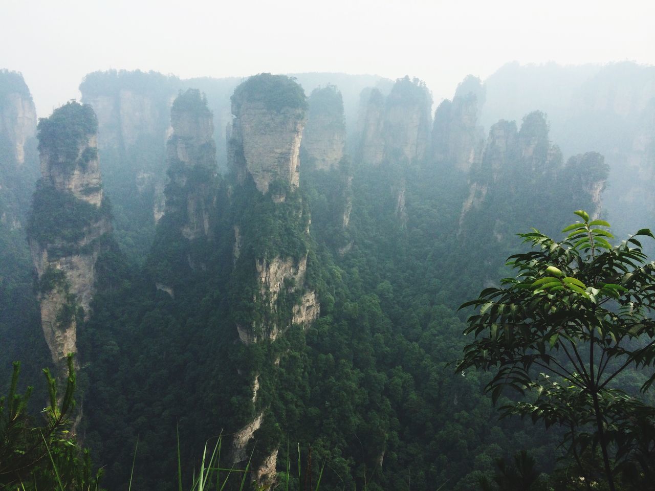 阿凡达哈里路亚悬浮山