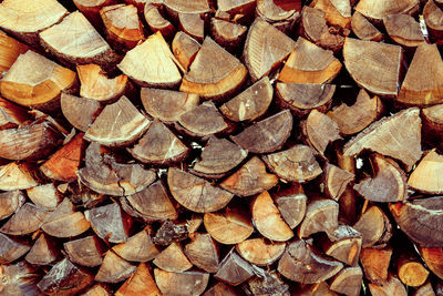 Full frame shot of logs in forest
