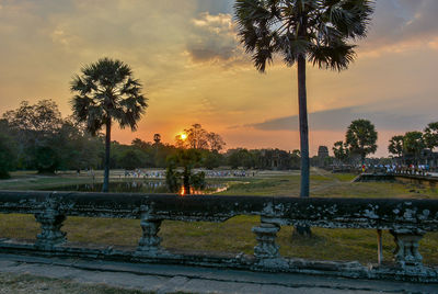 Scenic view of palm trees against sky during sunset