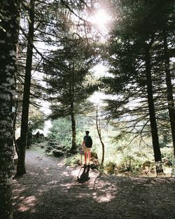 Rear view of man walking on road in forest