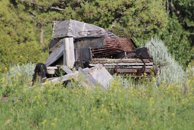 Abandoned barn