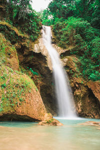 Scenic view of waterfall in forest