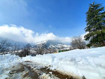 Snow covered trees against blue sky