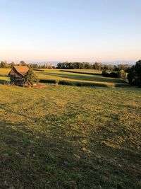 Scenic view of field against clear sky