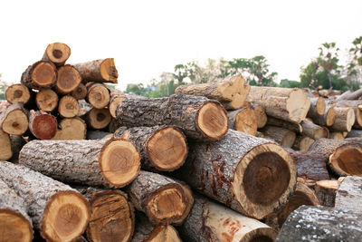 Wood arranged in layers, pile of wood logs ready for industry.