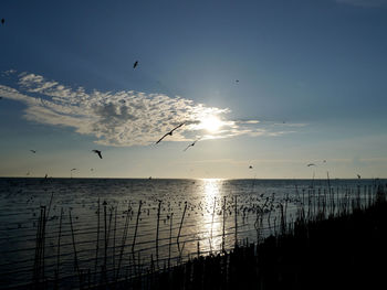 Scenic view of sunset over sea