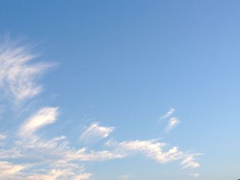 Low angle view of trees against blue sky