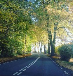 Empty road along trees