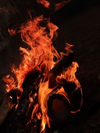 Close-up of bonfire at night