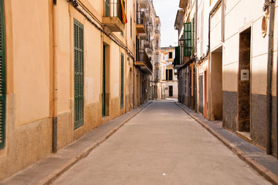 Narrow alley amidst buildings in city