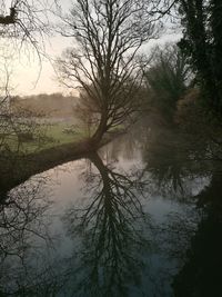 Reflection of trees in lake against sky