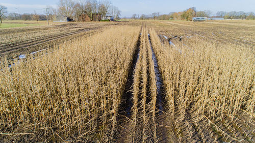 Hay bales on field against sky