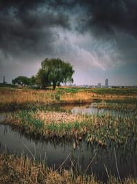 Scenic view of landscape against cloudy sky