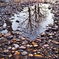 Reflection of rocks in water