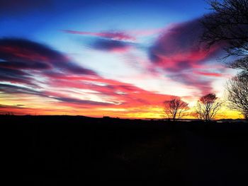 Silhouette of trees at sunset