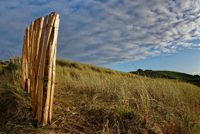 Wooden posts on field against sky