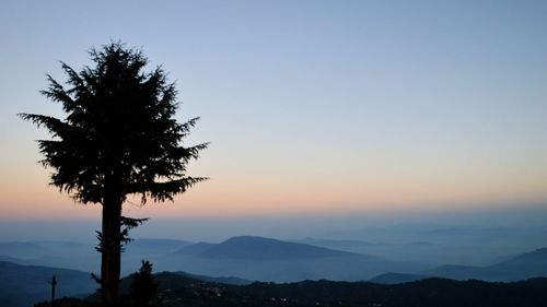 Silhouette tree against sky during sunset