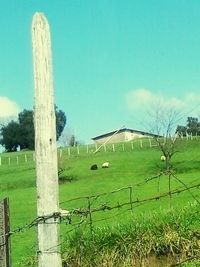 View of grassy field against cloudy sky