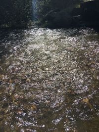 High angle view of river flowing through forest