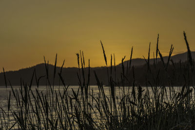 Scenic view of landscape at sunset