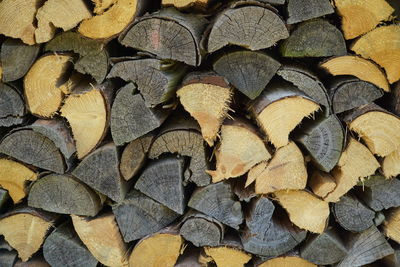 Full frame shot of logs in forest